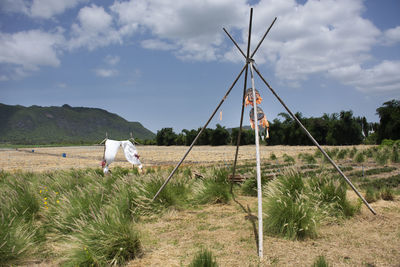 View of dog on field against sky