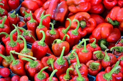 Full frame shot of red bell peppers and jalapeno