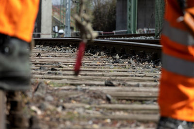 Railroad tracks by train