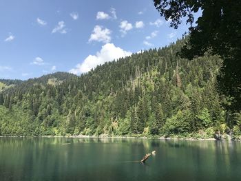 Scenic view of lake in forest against sky