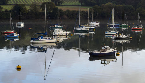 Boats moored at harbor