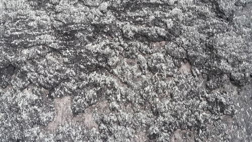 Full frame shot of snow covered land