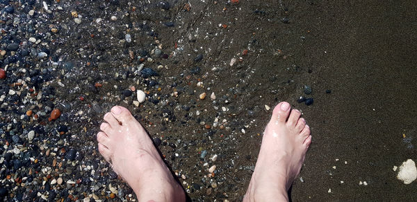 Low section of person standing on beach