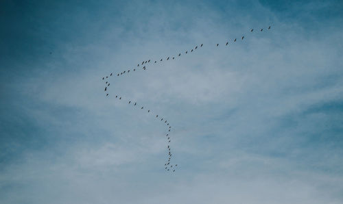 Low angle view of birds flying in sky