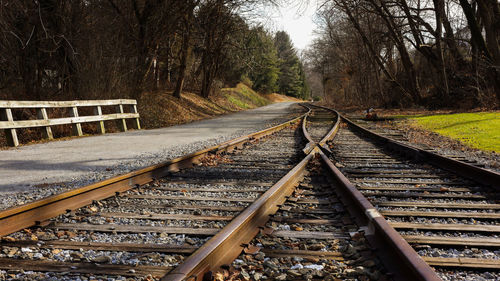 Railroad tracks in forest