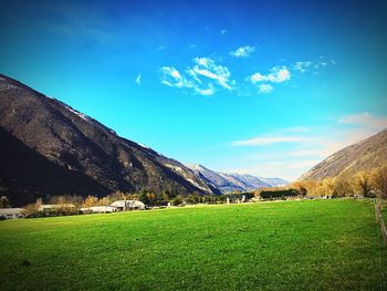 Scenic view of field against blue sky