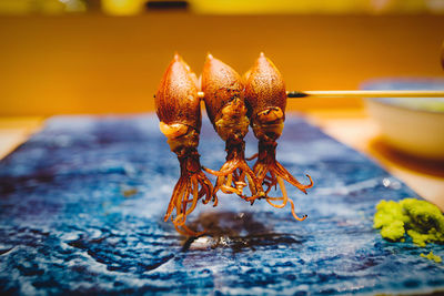 Close-up of crab on table