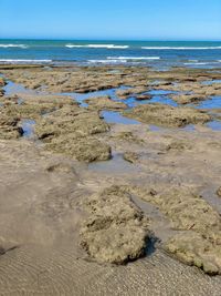 Surface level of wet sand on beach against sky