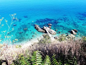 High angle view of sea shore