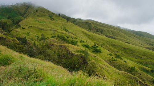 Scenic view of green landscape against sky