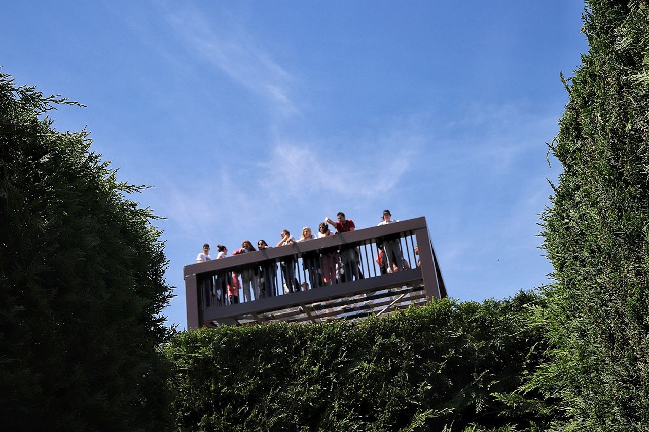 plant, tree, sky, nature, day, growth, green color, low angle view, outdoors, cloud - sky, group of people, blue, architecture, built structure, beauty in nature, lifestyles, sunlight, real people, leisure activity