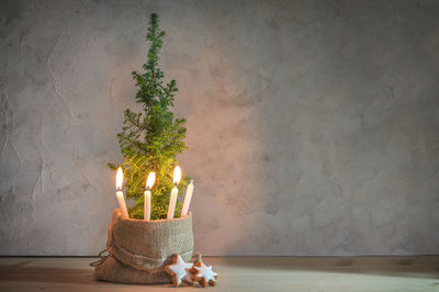 Potted plant on table