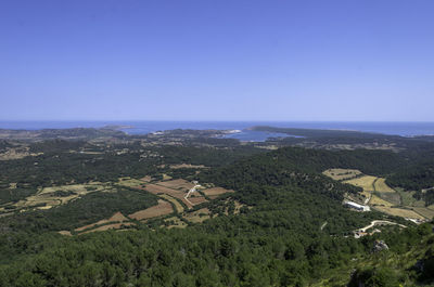 Scenic view of agricultural field against clear sky