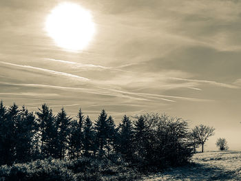 Scenic view of winter landscape against sky