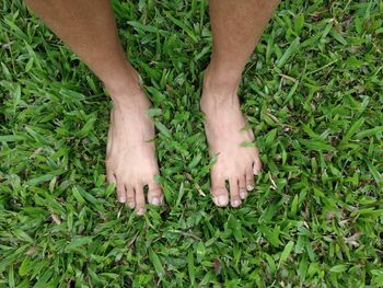 Low section of man standing on grass