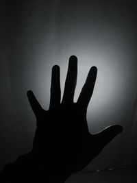 Silhouette of person hand against sky at night