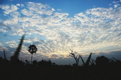 Low angle view of silhouette trees against sky during sunset