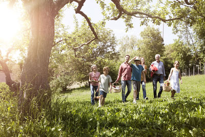 Extended family walking with picnic baskets in meadow