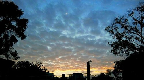 Low angle view of silhouette trees against dramatic sky