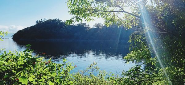 Scenic view of lake in forest against sky