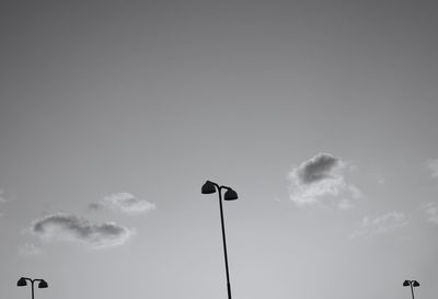 Low angle view of bird against sky