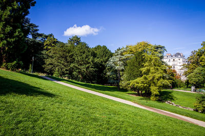 Scenic view of trees against sky