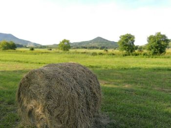 Scenic view of landscape against clear sky