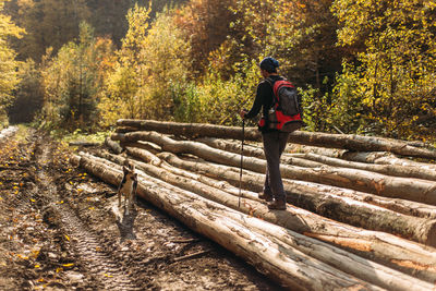 Hiker in camping equipment walking with dog in forest