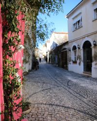 Narrow alley along buildings