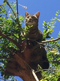 Low angle view of building