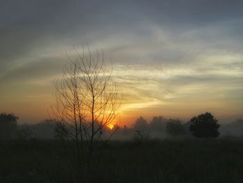 Silhouette trees on field against sky at sunset