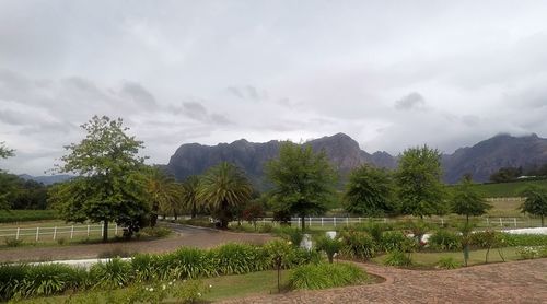 Scenic view of trees and mountains against sky