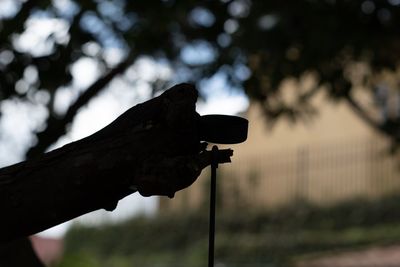 Close-up of silhouette camera against sky