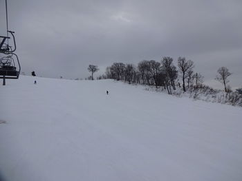 Trees on snow covered field against sky