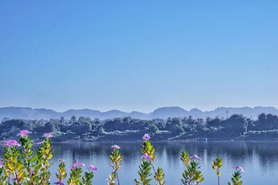 Scenic view of lake against clear blue sky
