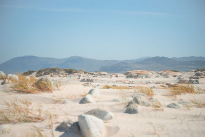 Scenic view of landscape against clear sky