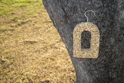 Close-up of padlock hanging on tree trunk