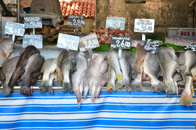 High angle view of dead fishes at market for sale