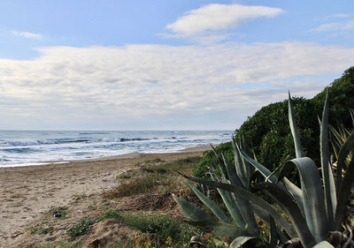 Scenic view of sea against sky