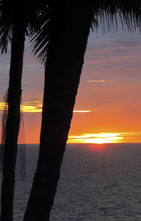 Silhouette tree by sea against sky during sunset