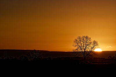 Silhouette tree on field against sky during sunset