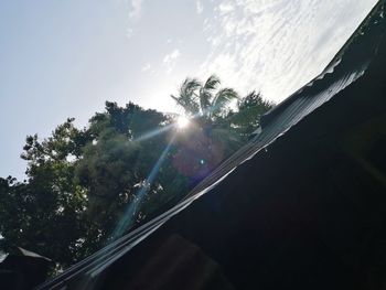 Low angle view of trees against sky on sunny day