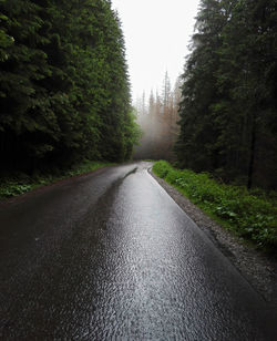 Empty road amidst trees in forest