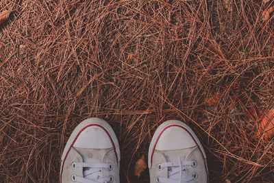 Low section of man wearing shoes standing on hay outdoors