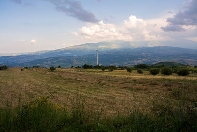 Scenic view of field against sky