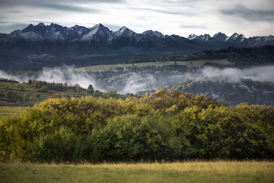 Scenic view of landscape against sky