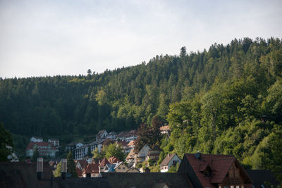 High angle view of trees and houses against sky