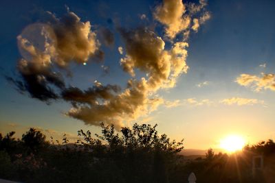 Low angle view of silhouette trees against sky during sunset