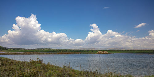 Scenic view of lake against sky