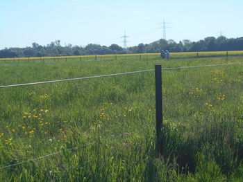 prairie